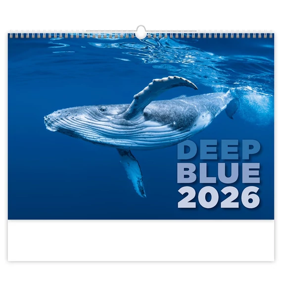 Falinaptár képes 315 × 450 mm Deep Blue Dayliner 2026.