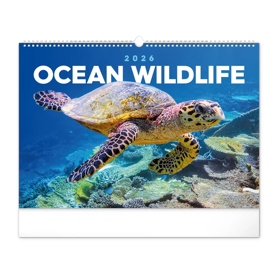Falinaptár képes  480×330mm Ocean Wildlife Realsystem 2026.
