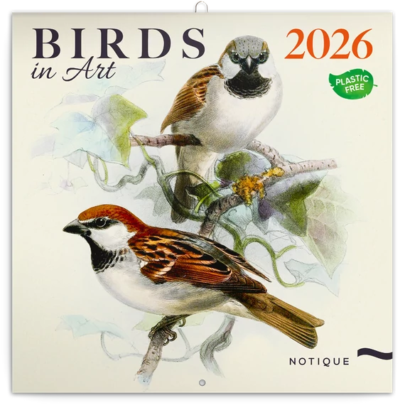 Falinaptár képes lemeznaptár 300x300mm, Birds in Art Realsystem 2026.