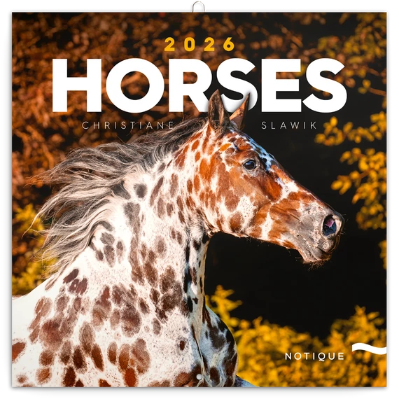 Falinaptár képes lemeznaptár 300x300mm, Horses – Christiane Slawik Realsystem 2026.
