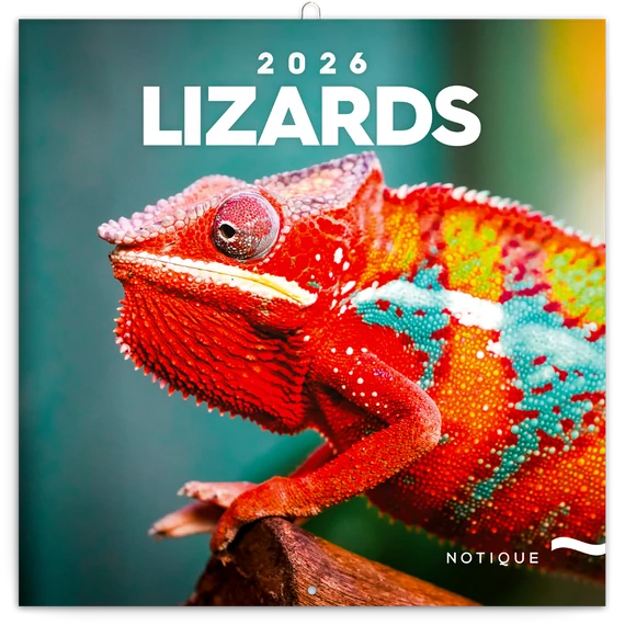 Falinaptár képes lemeznaptár 300x300mm, Lizards Realsystem 2026.
