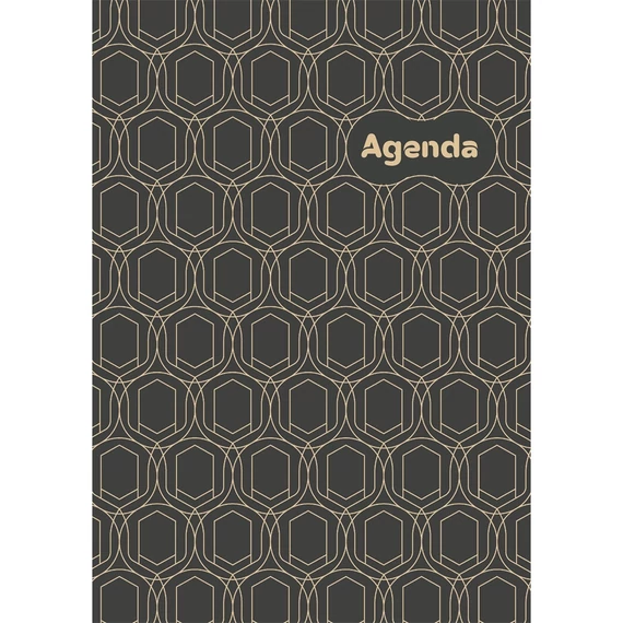 Határidőnapló Colors A5 napi, fehér lapokkal Art Modern Dayliner 2026.