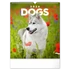 Kép 1/4 - Falinaptár képes  300x340mm Dogs Realsystem 2026.