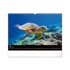 Kép 4/4 - Falinaptár képes  480×330mm Ocean Wildlife Realsystem 2026.