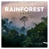 Kép 1/3 - Falinaptár képes lemeznaptár 300x300mm, Amazing Rainforest Realsystem 2026.