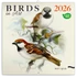Kép 1/3 - Falinaptár képes lemeznaptár 300x300mm, Birds in Art Realsystem 2026.