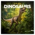 Kép 1/3 - Falinaptár képes lemeznaptár 300x300mm, Dinosaurs Realsystem 2026.