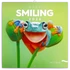 Kép 1/3 - Falinaptár képes lemeznaptár 300x300mm, Keep Smiling Realsystem 2026.