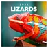 Kép 1/2 - Falinaptár képes lemeznaptár 300x300mm, Lizards Realsystem 2026.