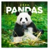Kép 1/3 - Falinaptár képes lemeznaptár 300x300mm, Pandas Realsystem 2026.