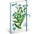 Kép 1/3 - Keménytáblás notesz krémszínű lapokkal leszorító gumiszalaggal Herbarium 130x210mm, Presco